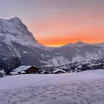 Wieseli *
