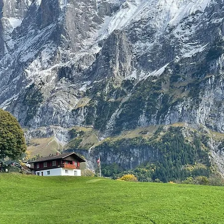 Apartment Wieseli Grindelwald