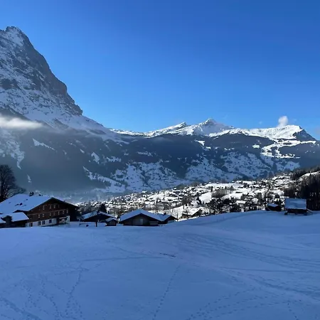 Lägenhet Wieseli Grindelwald