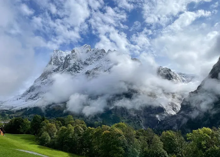 Wieseli *