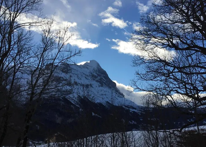 Wieseli Апартаменты