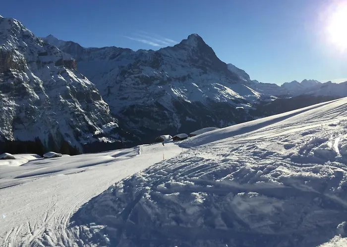 Lejlighed Wieseli Grindelwald